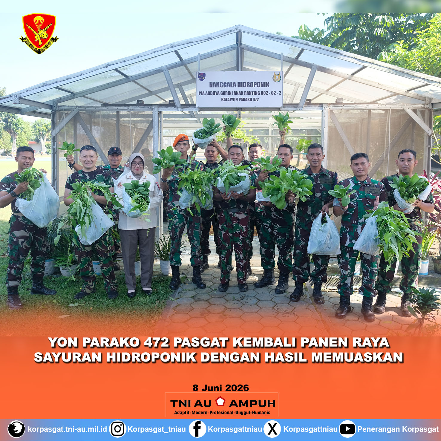 YON PARAKO 472 PASGAT KEMBALI PANEN RAYA SAYURAN HIDROPONIK